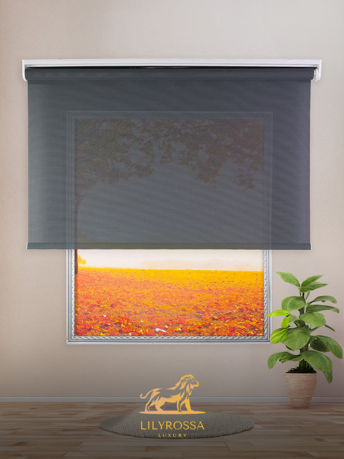 ANTHRACITE-GREY SCREEN ROLLER BLINDS