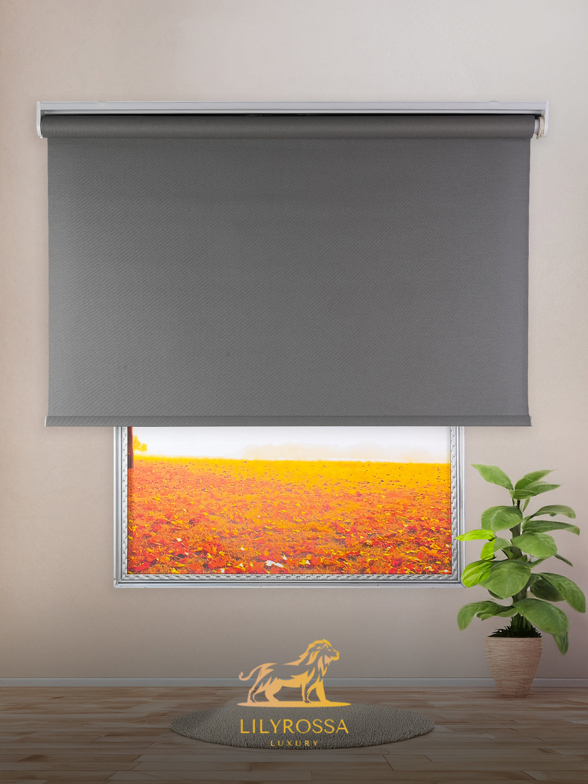 DARK GREY ZIP SCREEN ROLLER BLINDS