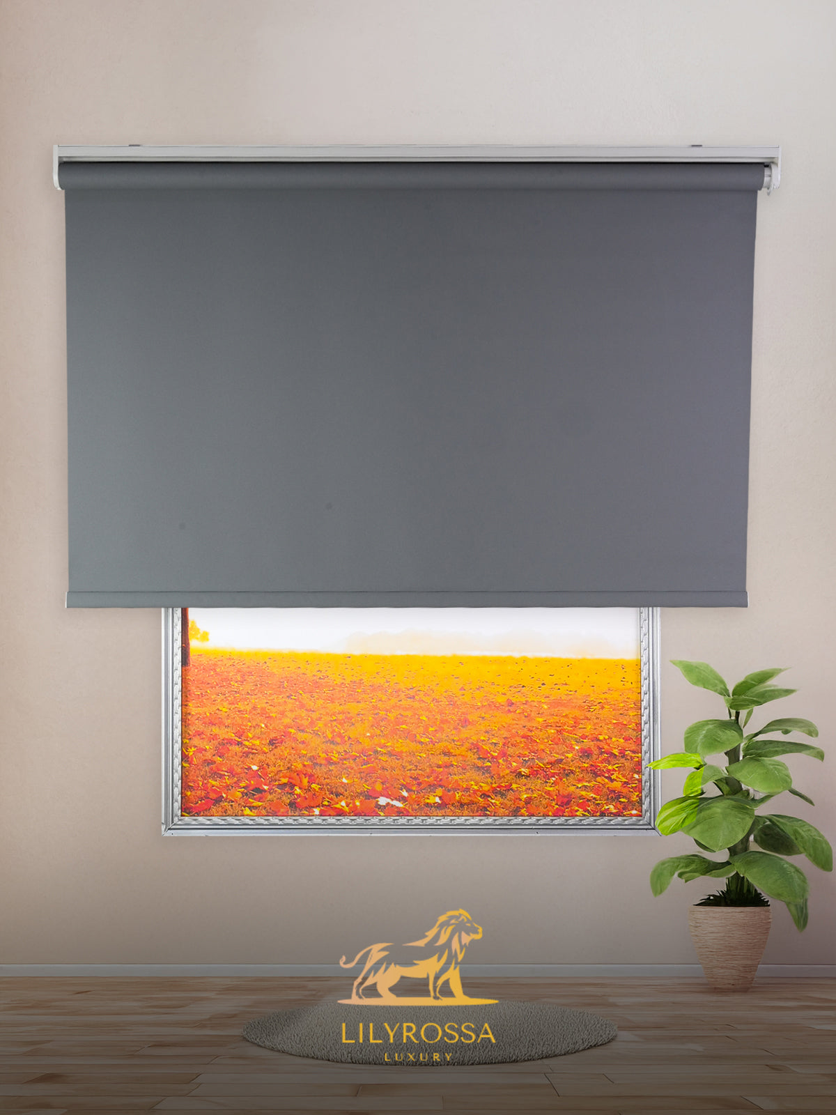 ANTHRACITE ROLLER BLINDS