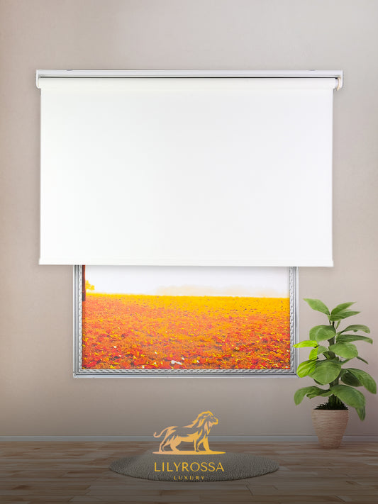 WHITE ROLLER BLINDS