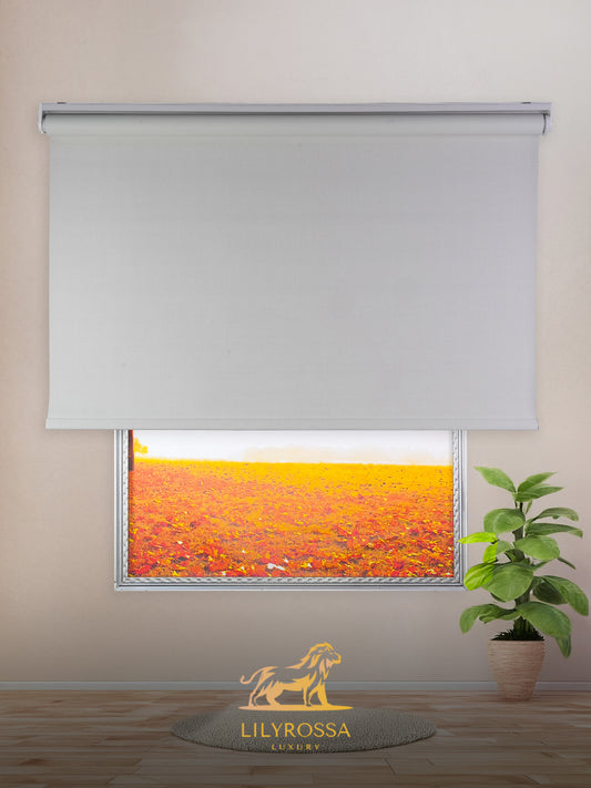 NATURAL BEIGE ROLLER BLINDS