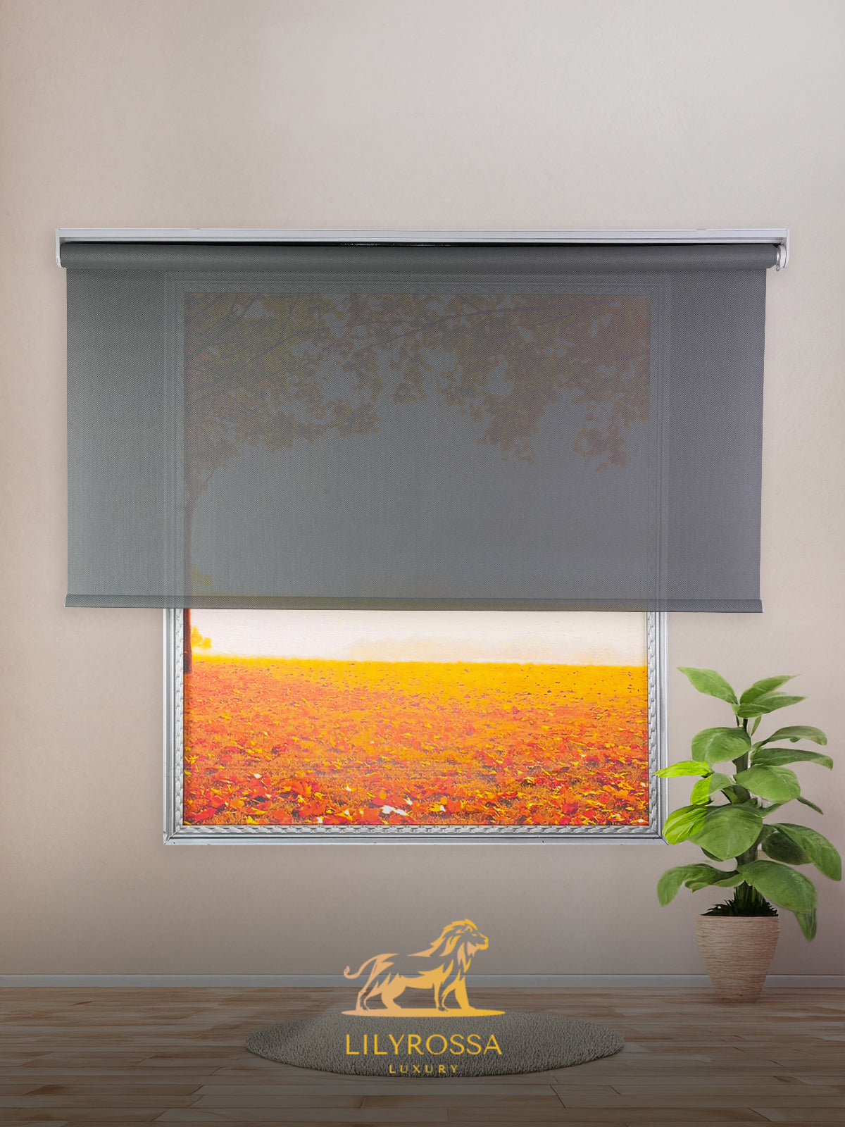 ANTHRACITE ZIP SCREEN ROLLER BLINDS